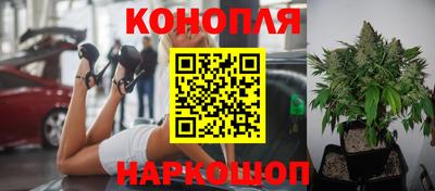 сатива Старая Купавна